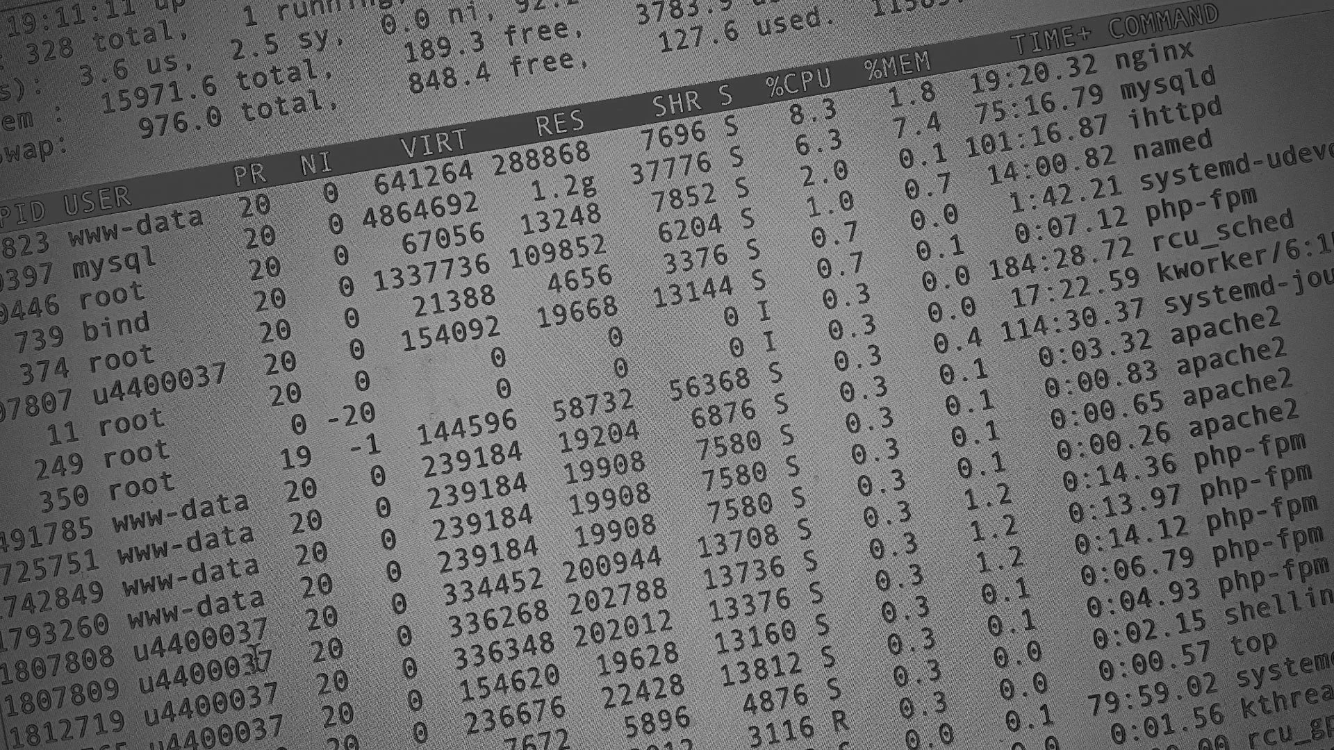 Настройка сервера в Аркадаке