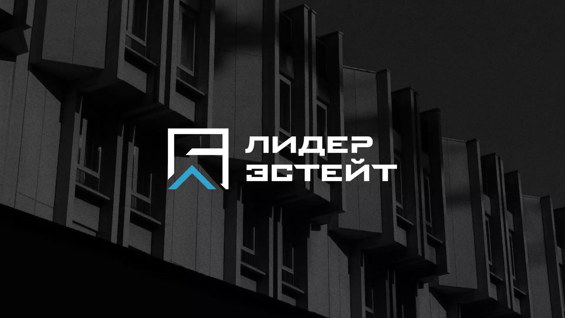 Разработка логотипа агентства недвижимости «Лидер Эстейт» в Аркадаке