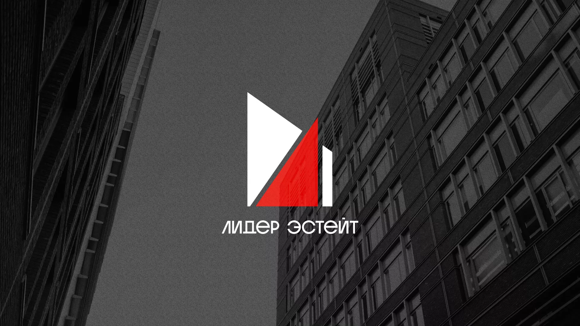 Сделали логотип для агентства недвижимости «Лидер Эстейт» в Аркадаке